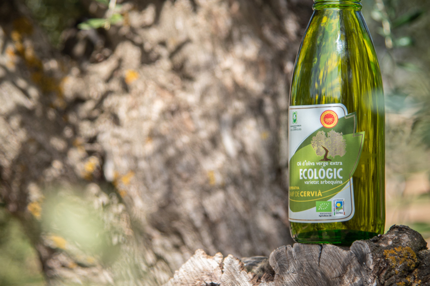 Camp de Cervià de les Garrigues ( Cooperativa Cervia)