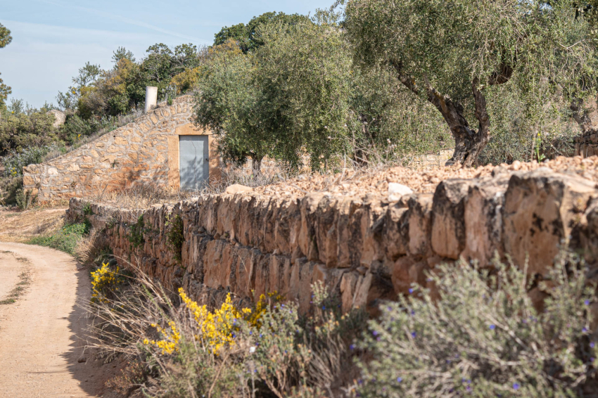 Camp de Cervià de les Garrigues ( Cooperativa Cervia)