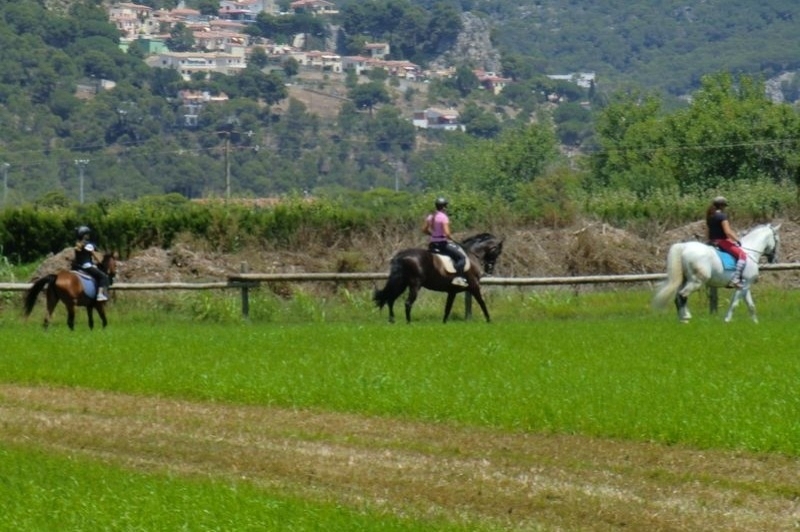 Hípica Mas Paguina i Turisme Rural (Exteriors)
