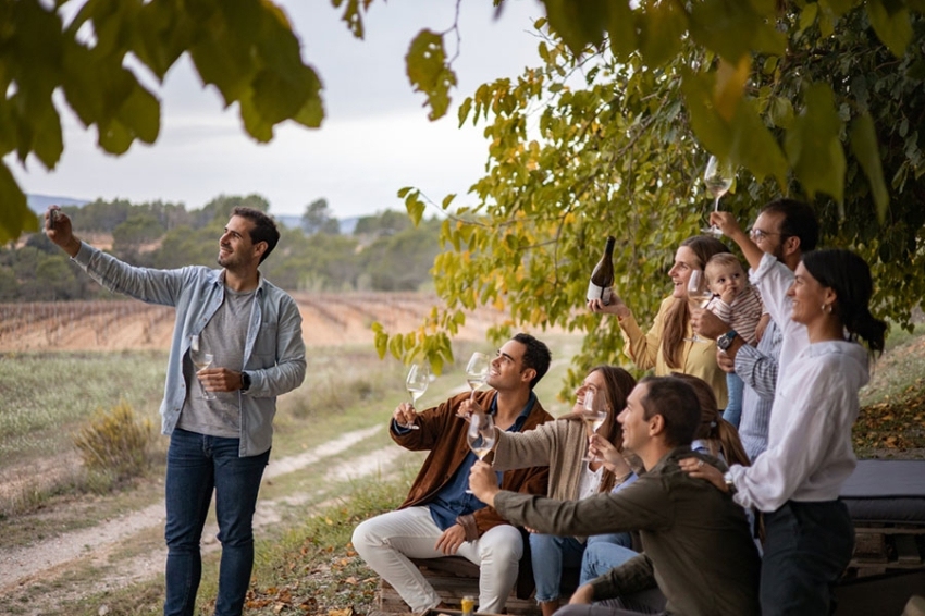 Vins El Cep (Grup Amb Copa A Les Moreres)