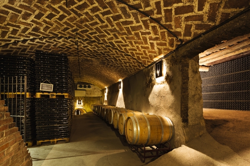 Vins El Cep (Celler)