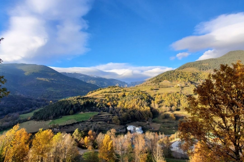 Càmping Vall de Ribes (Camping Vall De Ribes)