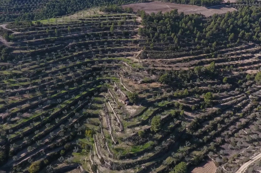 DOP Les Garrigues (Dop Les Garrigues)