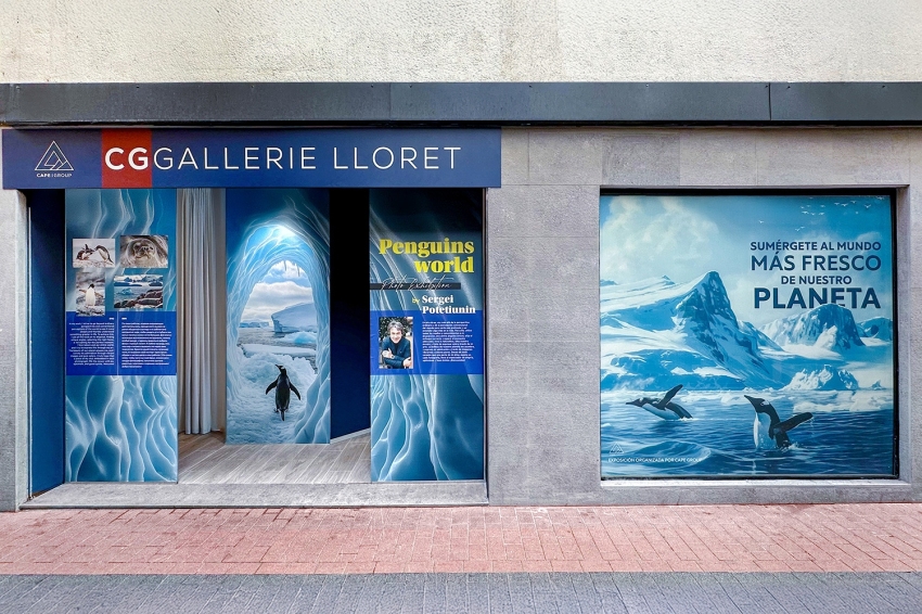 CG Gallery Lloret (Cg Gallery Lloret)