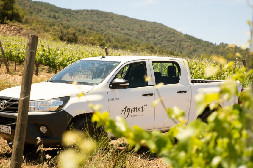 Celler Aymar Vitivinícoles (Celler Aymar Vitivinicoles)