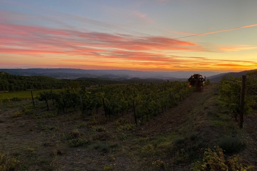 Celler Aymar Vitivinícoles (Celler Aymar Vitivinicoles)