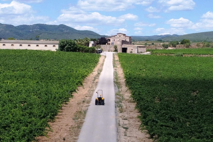 Aymar Castell de Pujades (Aymar Castell De Pujades)