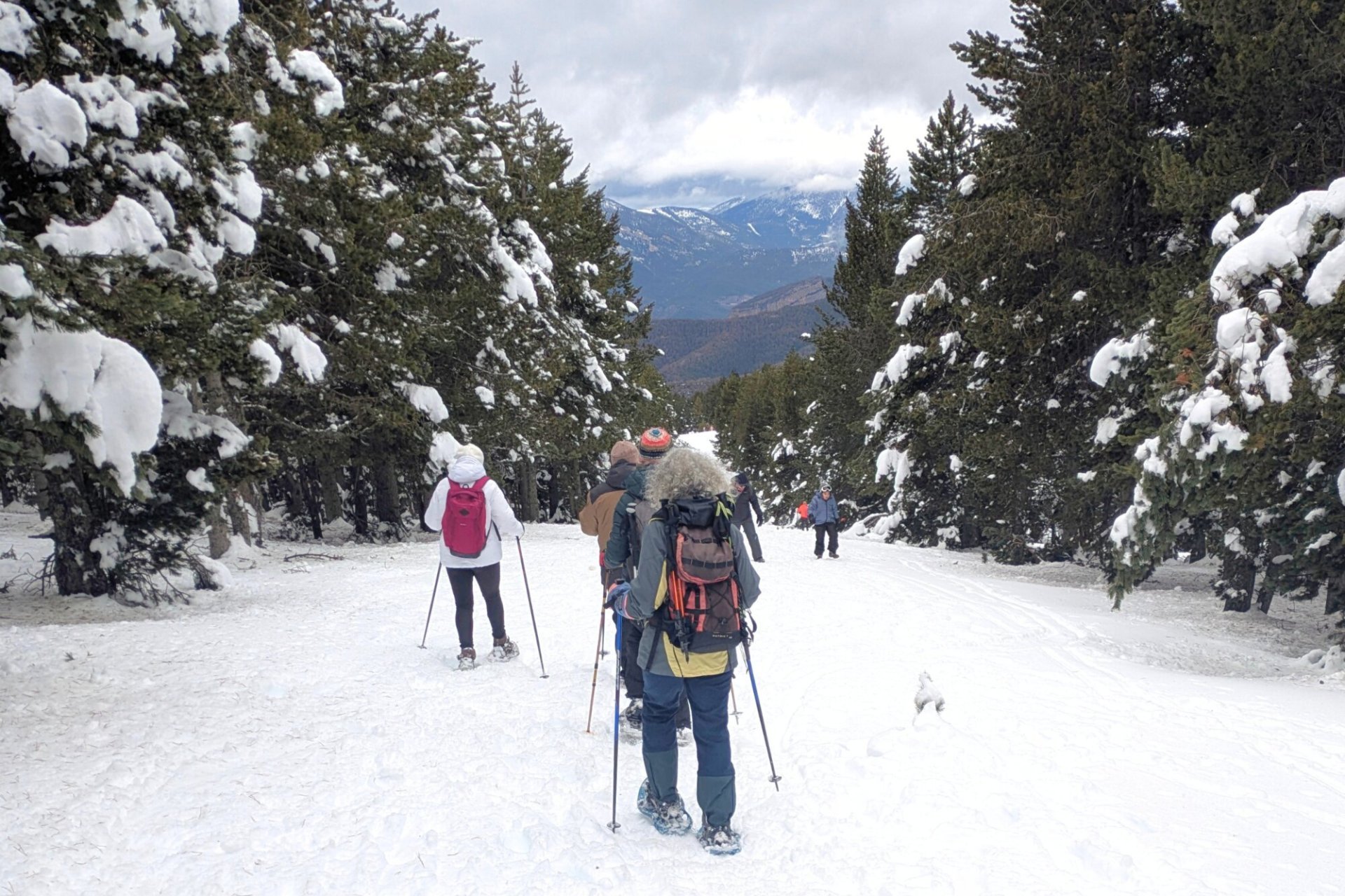Guies dArrel (Image Ruta Neu)