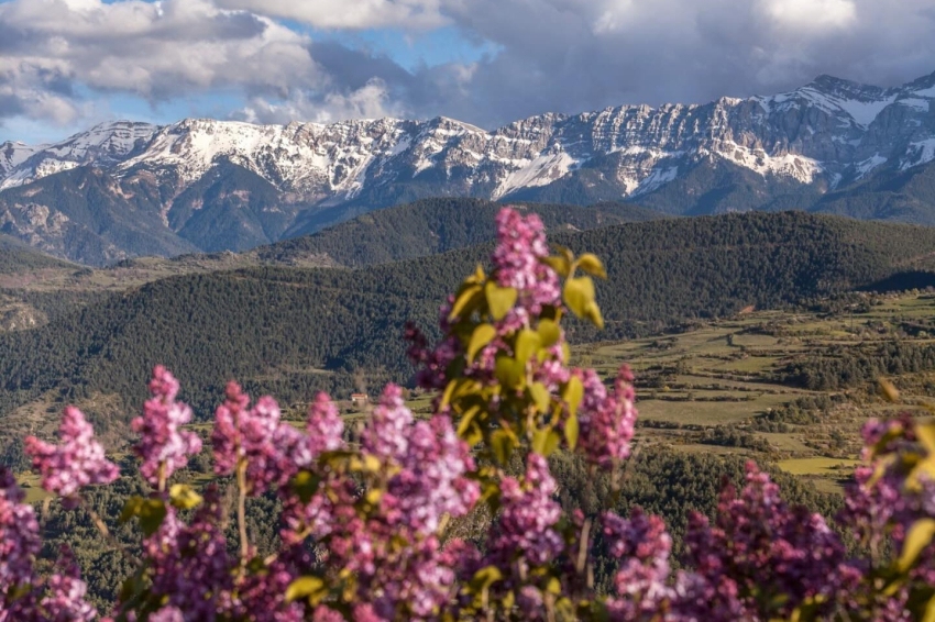 Turisme Alt Urgell (Alt Urgell)