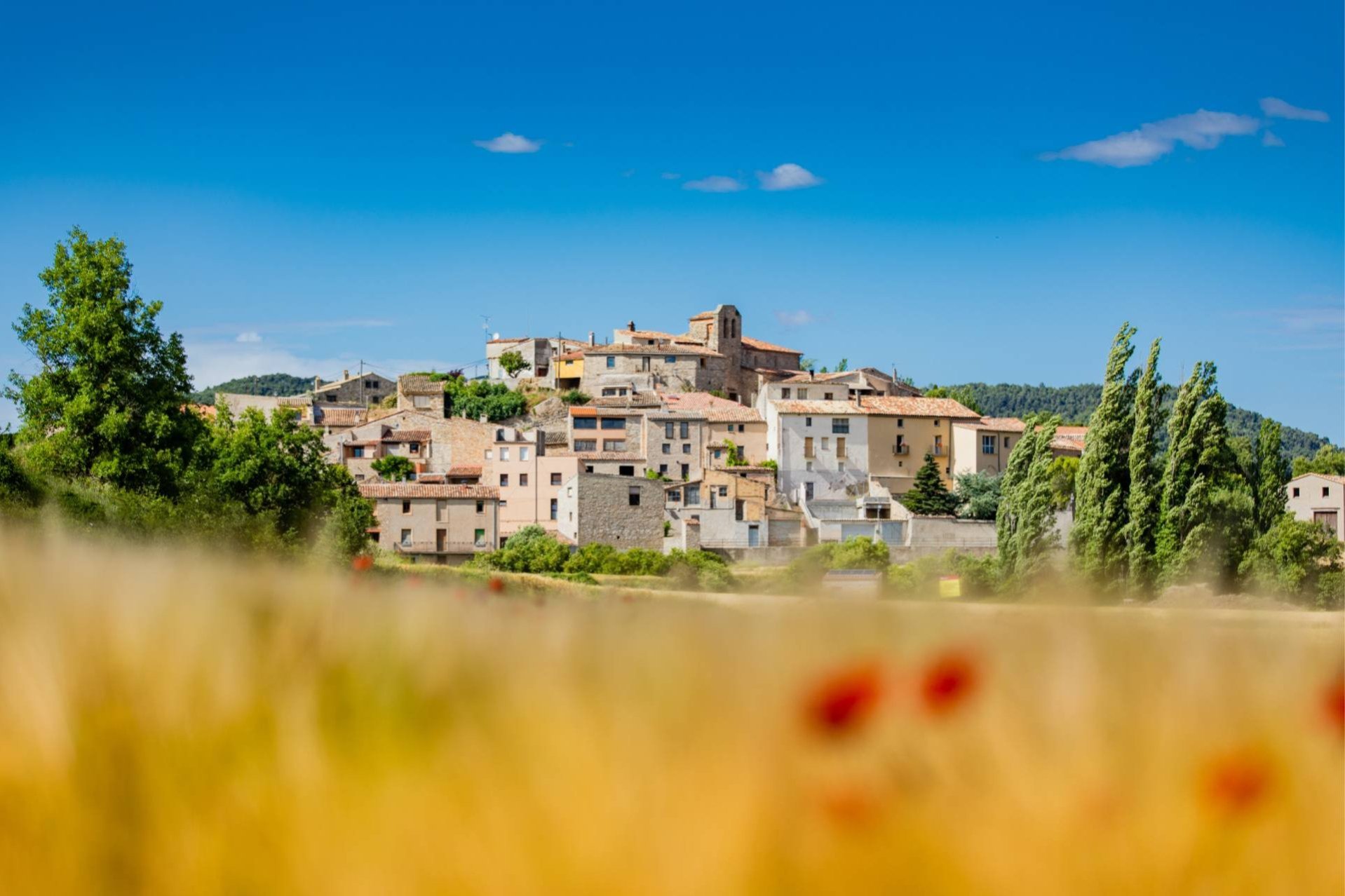 Turisme Anoia (Anoia)