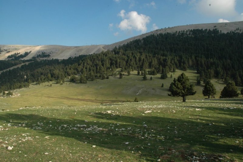 Turisme Solsonès (Prats De Bacies)