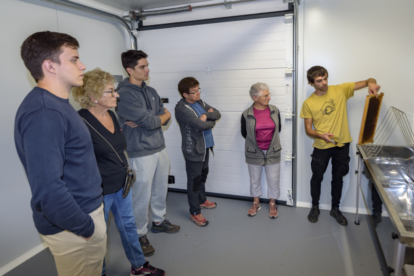 Mel La Caseta, mel artesanal al Berguedà (Mel La Caseta)