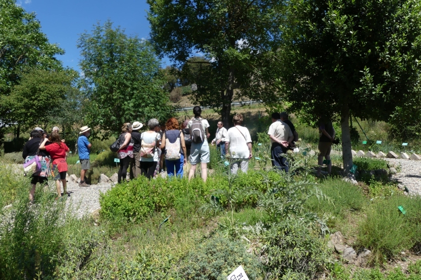 Jardí Botànic de Gombrèn (Jardi Botanic De Gombren Sant Joan)