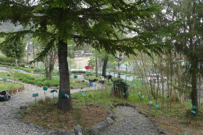 Jardí Botànic de Gombrèn (Jardi Botanic De Gombren)