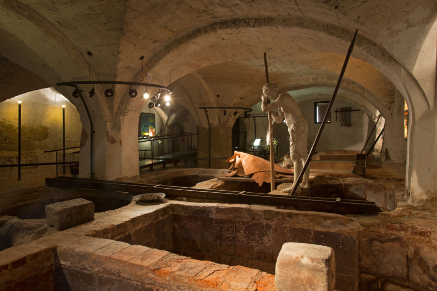 Museu de la Pell dIgualada i Comarcal de lAnoia (Cal Granotes Museu De La Pell Igualada)