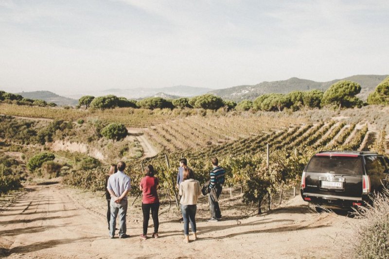 Celler Art Laietà (Alta Alella) (Visita 4x4 I Maridatge 4x4)