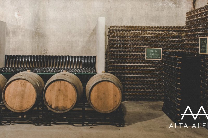 Celler Art Laietà (Alta Alella) (Alta Alella Paratge Qualificat 21)