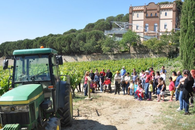 Celler Art Laietà (Alta Alella) (El Raim Inquiet Visita Familar Teatralizada Raim Inquiet)