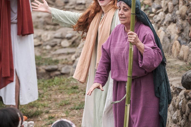 La Passió de Sant Climent Sescebes (Passio Sant Climent Sescebes)