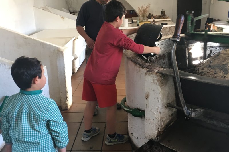 Amiel i Baserba Trull Oli (Amiel I Baserba Trull Oli)