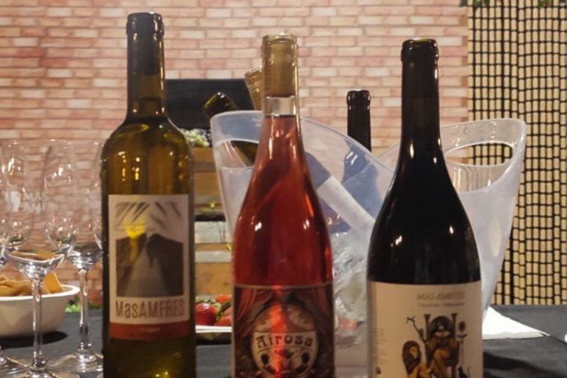 El CELLER WINERS Hall Escape Room (El Celler Winers)