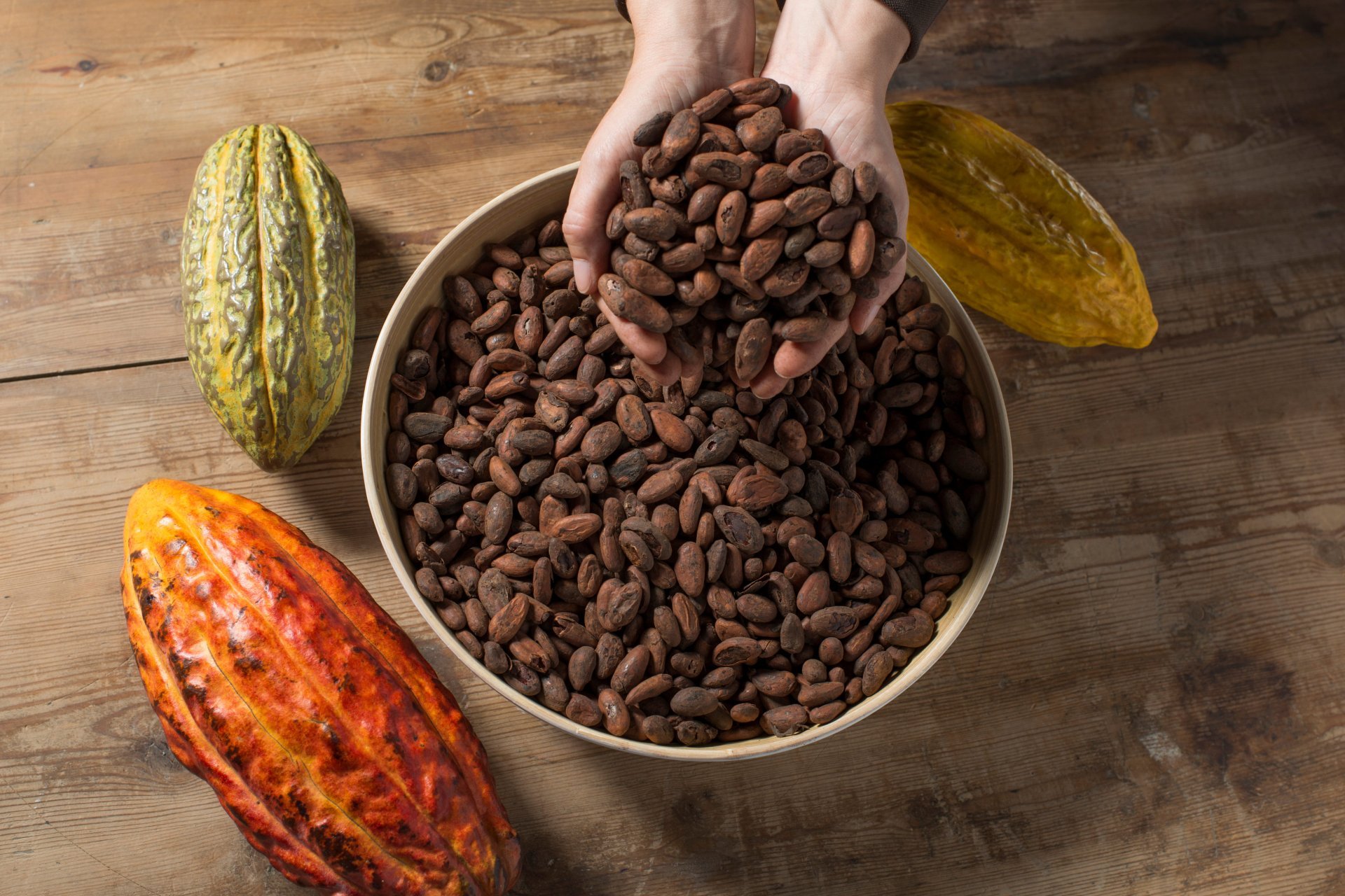 Espai Xocolata Simón Coll (Espai Xocolata Simon Coll)
