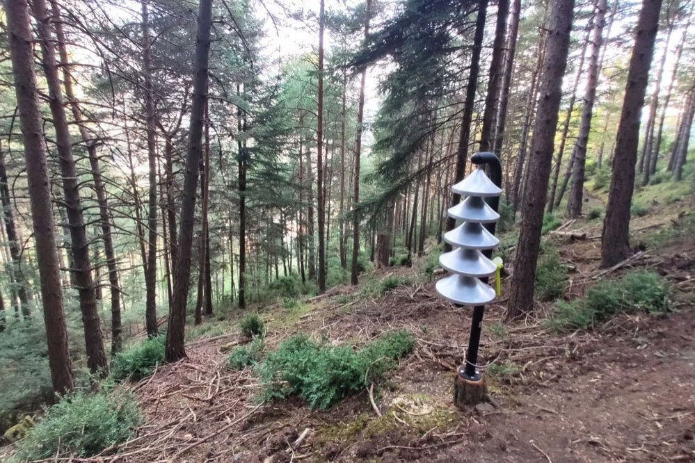 El Bosc de lAndy (El Bosc De L Andy)