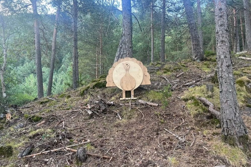 El Bosc de lAndy (El Bosc De L Andy)