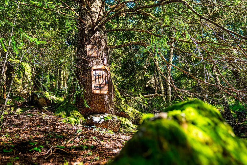 Macarulla: El bosc dels menairons (Macarulla)