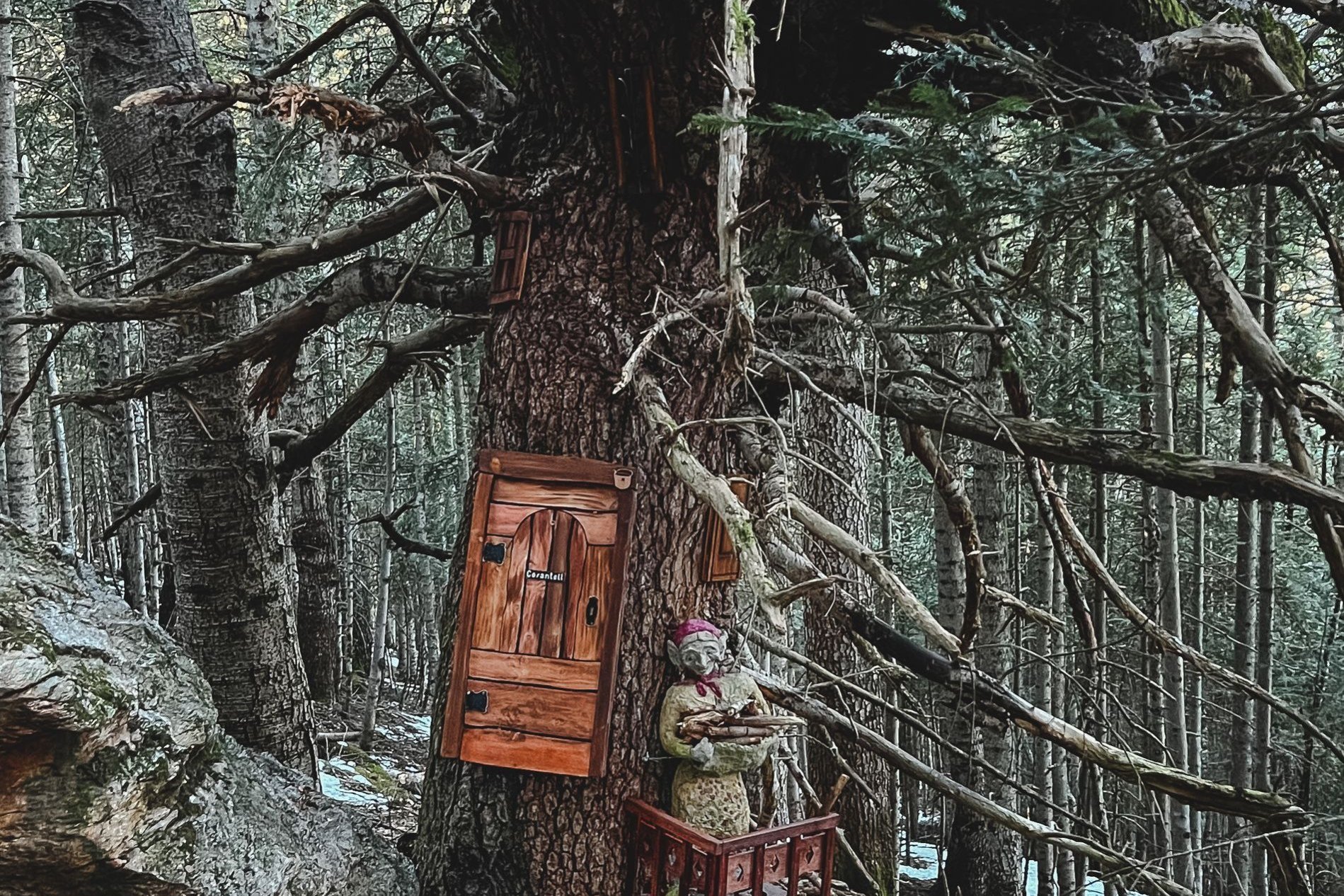 Macarulla: El bosc dels menairons (Macarulla)