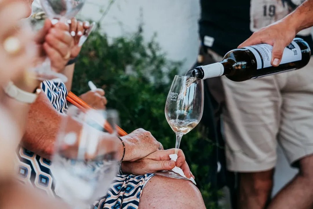 Celler Mas Vicenç (Celler Mas Vicenc 00)