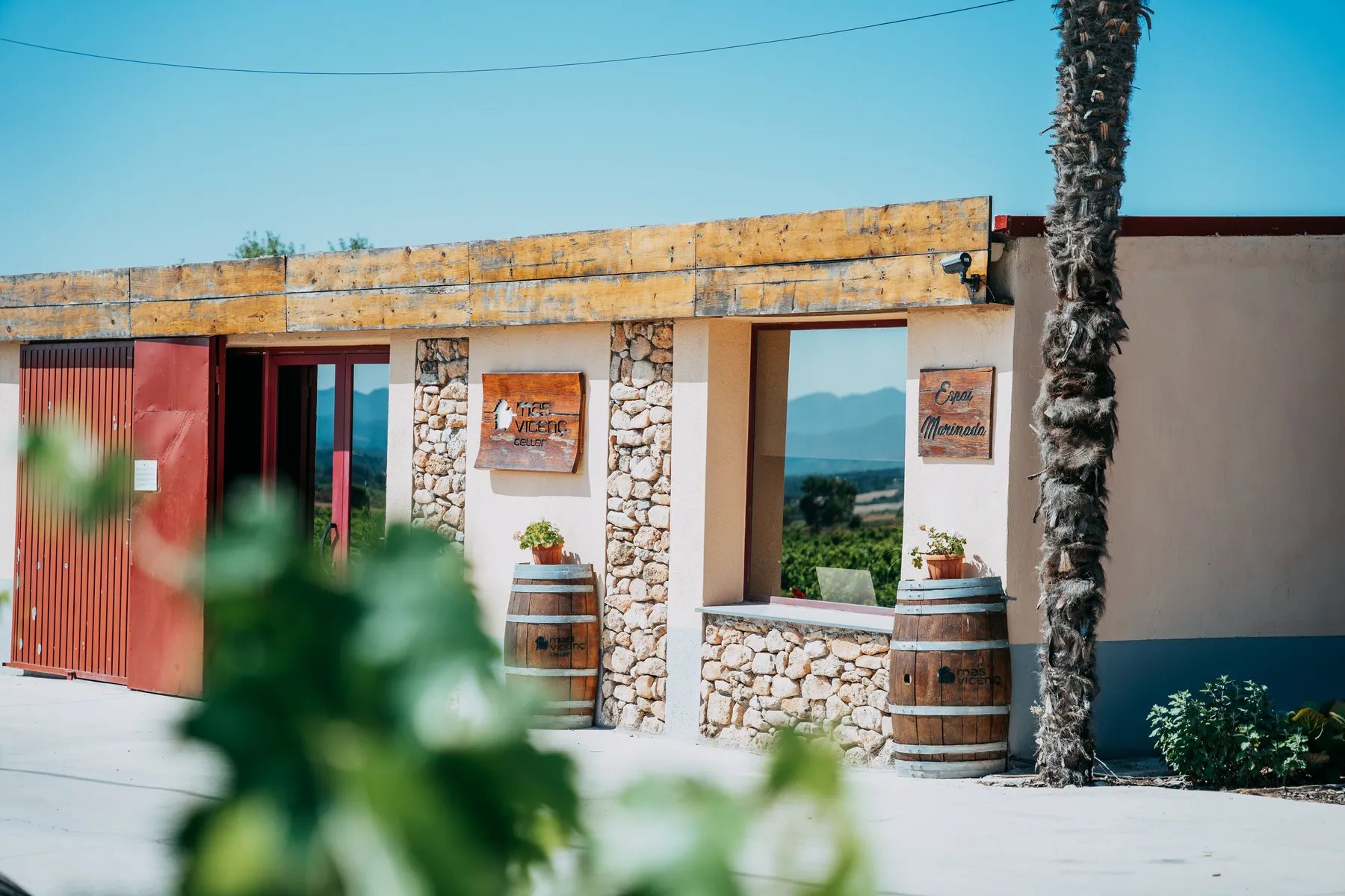 Celler Mas Vicenç (Celler Mas Vicenc 04)