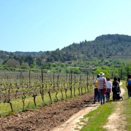 Celler L'Olivera Vallbona de les Monges