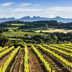 Turisme Baix Penedès