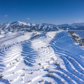 Turisme Priorat