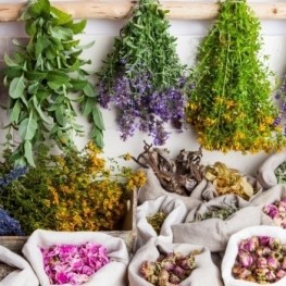 Cosmétiques naturels et plantes médicinales en Catalogne