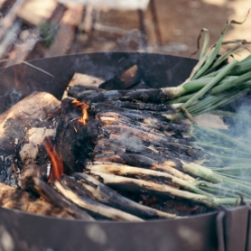 Gaudeix les calçotades a Catalunya