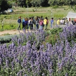 Stroll between colors and nature in the Parks of the smells&#8230;