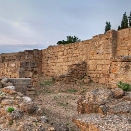 Retorna als orígens amb les visites a poblats i jaciments arqueològics