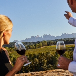 10 wine tourism experiences for this summer