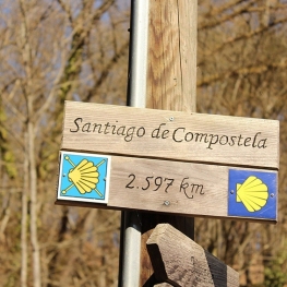 Tips for discovering the Camino de Santiago by bicycle