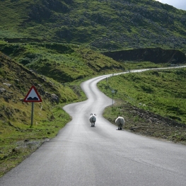 D'Edimburg a les Terres Altes: Una Ruta Completa per Escòcia&#8230;