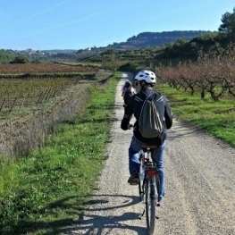 Sorteig: Guanya un una visita en bicicleta i un tast de vins