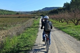 Giveaway: Win a bike tour and wine tasting