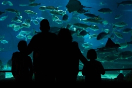Tirage au sort : L'Aquarium de Barcelone