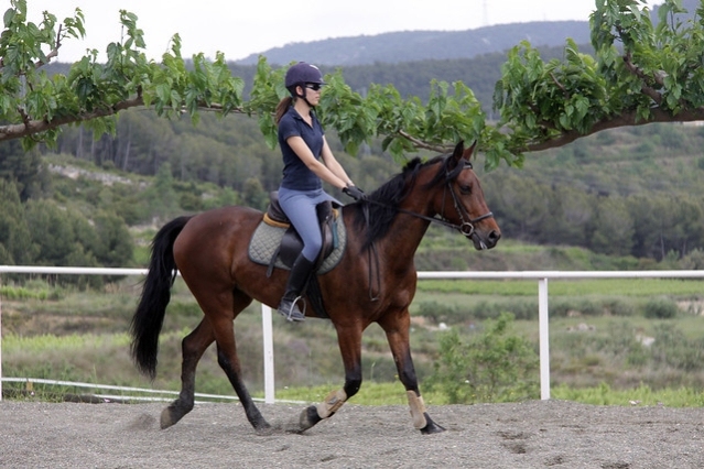 Wine tourism and horseback riding at the Miquel Jané Winery (5709875453_2952289132_z)