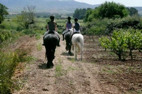 Wine tourism and horseback riding at the Miquel Jané Winery (Hipica_santpau_4 Big)