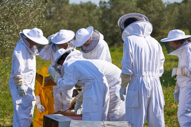 Beekeepers for a day, Empordà Beekeepers (_ism1427)
