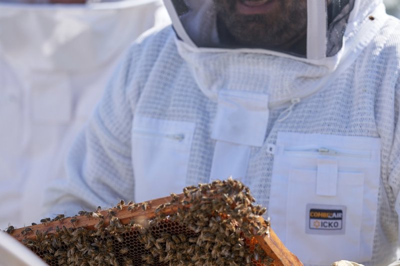 Beekeepers for a day, Empordà Beekeepers (_ism1379)