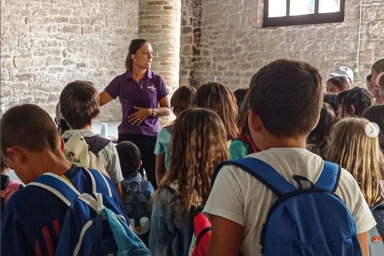 Visites Guiades amb Tast d'olis Arbequina (Nens)